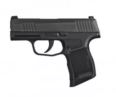 P365 (9mm)